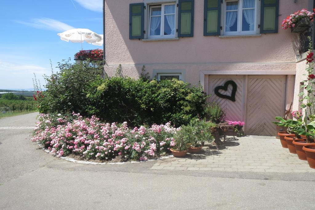 Gaestehaus Frohe Aussicht Kressbronn am Bodensee Esterno foto